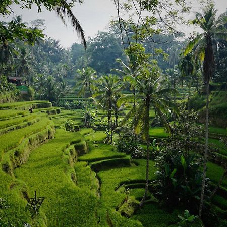 Villa Seremi Ubud Gianyar (Bali) Exterior photo