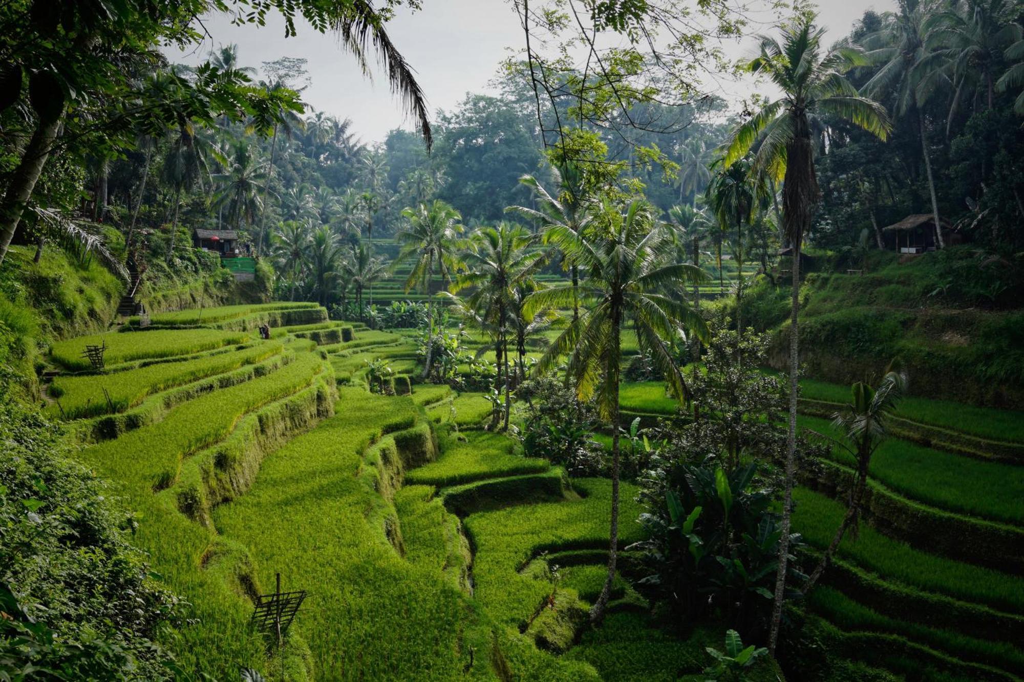 Villa Seremi Ubud Gianyar (Bali) Exterior photo